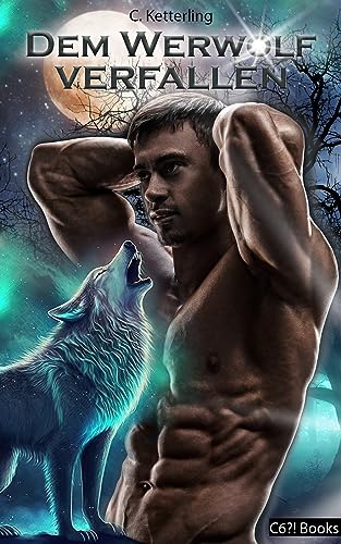 Dem Werwolf Verfallen: Fortsetzung von "My Sweet Valentin Werwolf": Urban Fantasy – paranormaler Werwolf Liebesroman (Berlin Werewolves - deutsche Ausgabe 1)