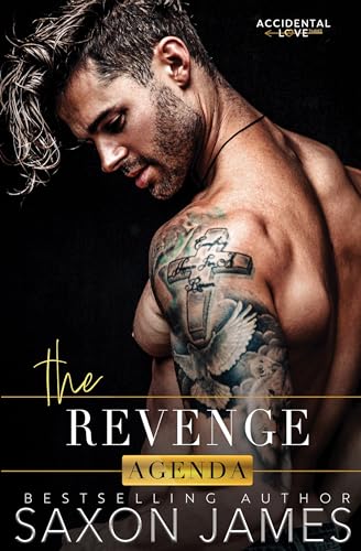 The Revenge Agenda (Accidental Love Book 3)