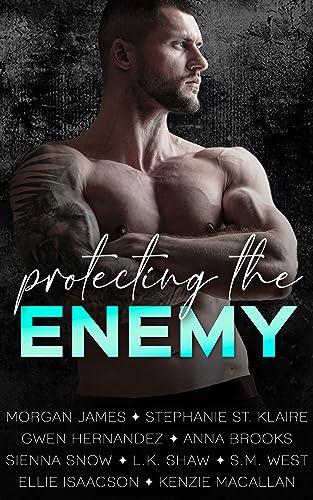 Protecting the Enemy: A Romantic Suspense Anthology