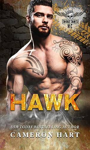 Hawk: Beschützender Held/dralles Mädchen (Savage Saints-MC 1)