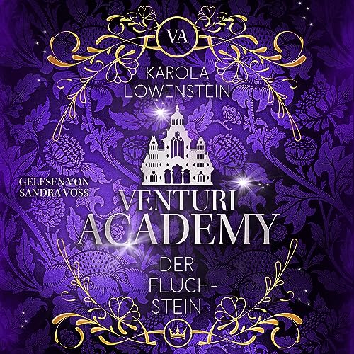 Der Fluchstein: Venturi Academy 3