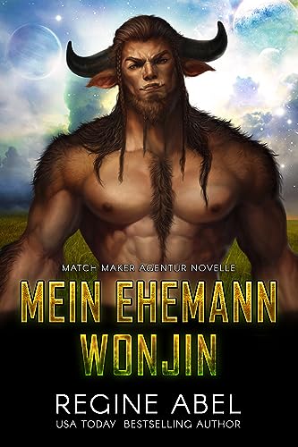 Mein Ehemann Wonjin (Match Maker Agentur)