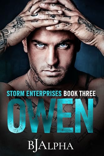 OWEN : STORM ENTERPRISES BOOK 3