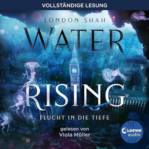 Flucht in die Tiefe: Water Rising 1