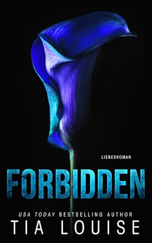 Forbidden: Liebesroman (Hamiltown Hitze, Band 4)