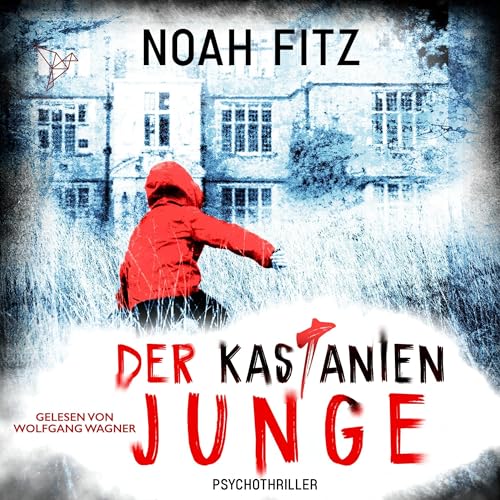 Der Kastanienjunge: Johannes Hornoff 13
