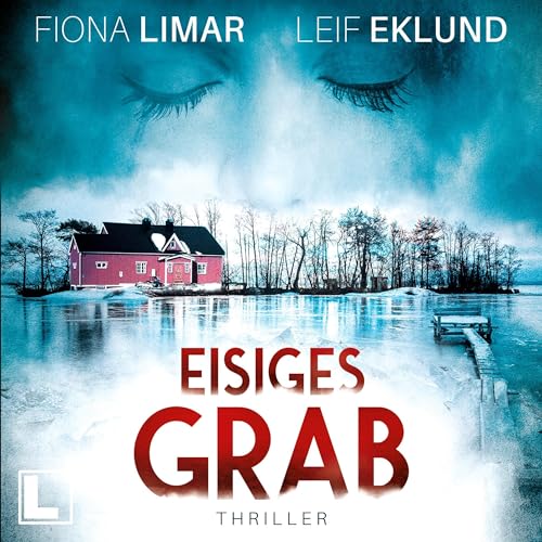 Eisiges Grab: Schwedenthriller 6