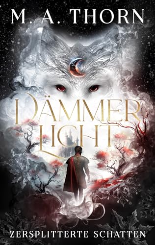 Dämmerlicht: Zersplitterte Schatten (Drayke-Saga 2)