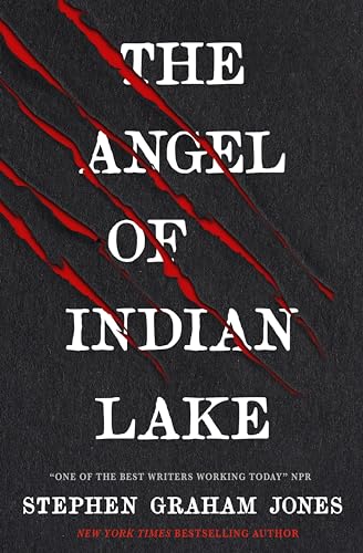 The Angel of Indian Lake (English Edition)