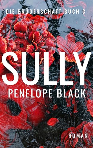Sully: Eine Irish-Mafia-Romanze (Die Brüderschaft 3)