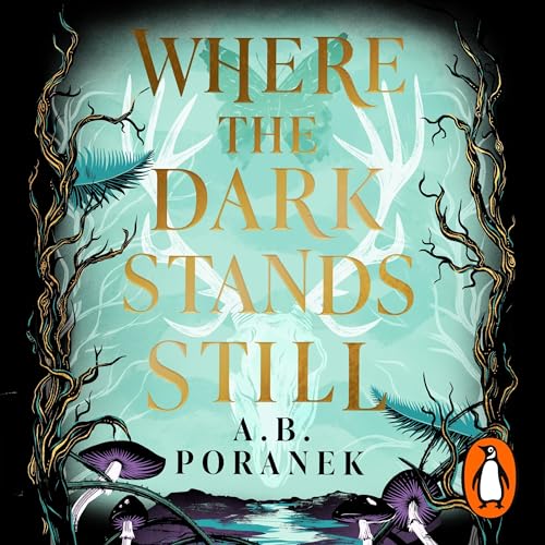 Where the Dark Stands Still
