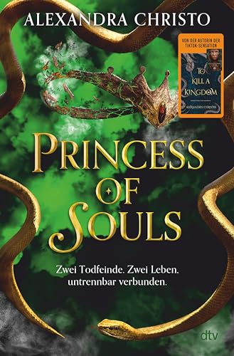 Princess of Souls: Mitreißende Enemies-to-Lovers-Romantasy der TikTok-Erfolgsautorin von ›To Kill a Kingdom‹ | Hochwertig veredelt