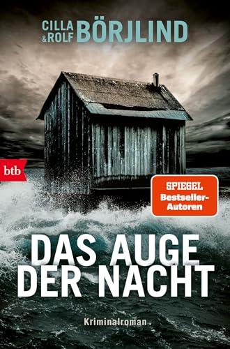 Das Auge der Nacht: Kriminalroman (Die Rönning/Stilton-Serie 8)