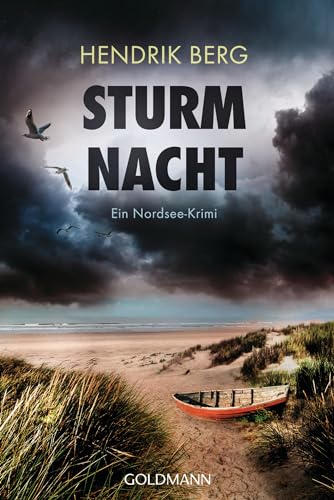 Sturmnacht: Ein Nordsee-Krimi (Ein Fall für Theo Krumme 10)