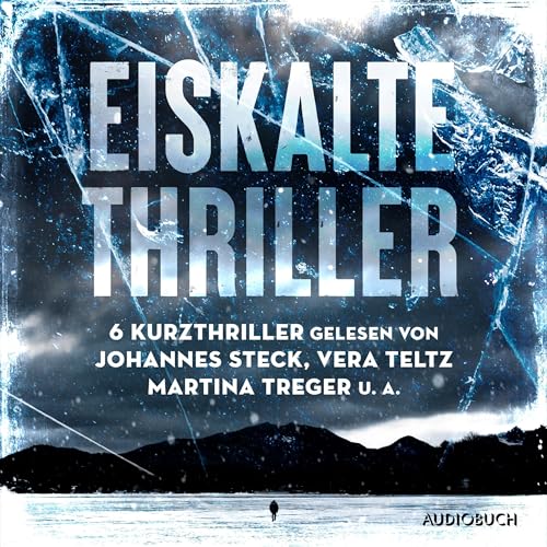 Eiskalte Thriller: Augen ohne Licht / Winter des Wahnsinns / Revenge - Du bist niemals sicher / Kaltes Land / Der Fleischer
