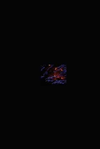 Blood Moon Rising: Kampf um die Krone
