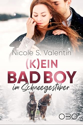 (K)ein Bad Boy im Schneegestöber (Bad Boy Stories 1)