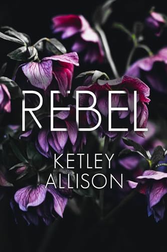 Rebel: a Morally Grey Hero Romanze (Vom Player zum Liebhaber)