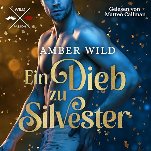 Ein Dieb zu Silvester