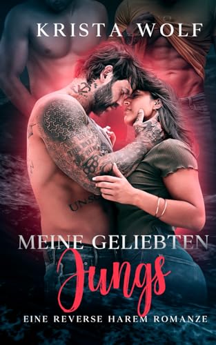 Meine Geliebten Jungs: Eine Reverse Harem Romanze