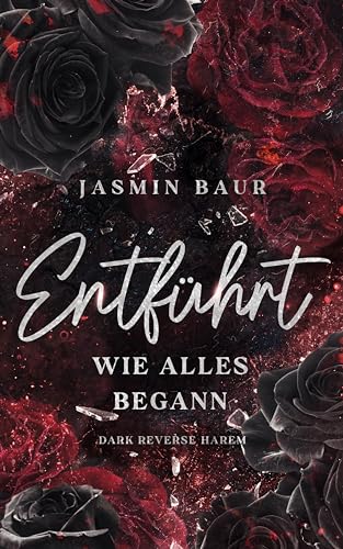 Entführt: Wie alles begann (Dark Reverse Harem)