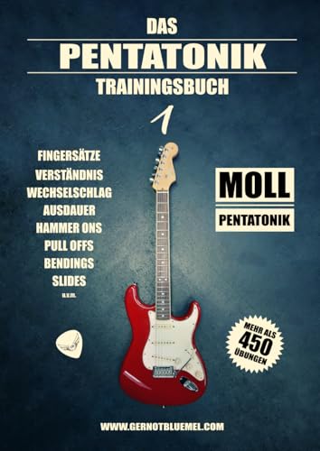 Das Pentatonik Trainingsbuch: Moll Pentatonik (Die Pentatonik Trainingsbuch Reihe, Band 1)