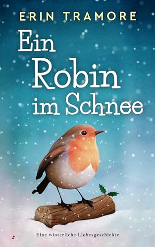 Ein Robin im Schnee