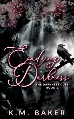 Evading Darkness (The Darkness Duet, Band 1)
