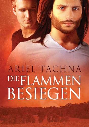 Die Flammen besiegen (Lang Downs (Deutsch) 4)