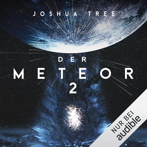 Der Meteor: Der Meteor 2