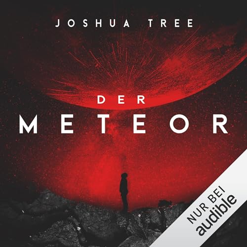 Der Meteor: Der Meteor 1