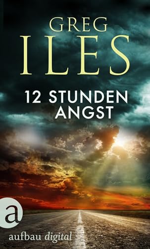 12 Stunden Angst (Greg Iles Bestseller Thriller 10)