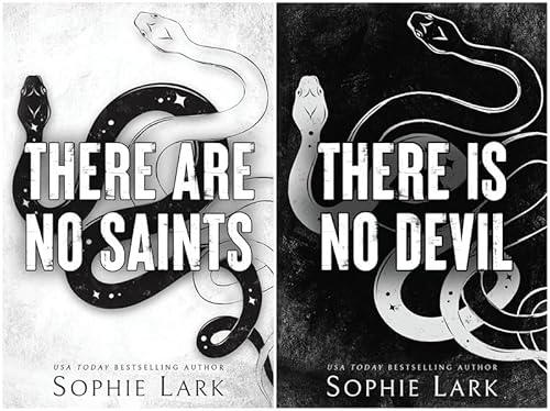 Sinners Duet Series 2 Books Set - There Are No Saints & There Is No Devil