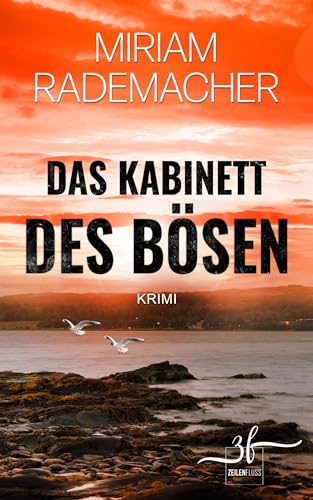 Das Kabinett des Bösen: Humorvoller Cosy-Crime-Roman von der Ostsee mit spannender Cold-Case-Ermittlung (Hedi Voss ermittelt 2)