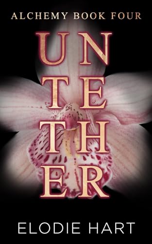 Untether: A Hot Reverse Age Gap Romance (Alchemy, Band 4)