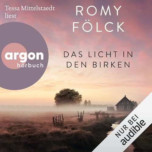 Das Licht in den Birken