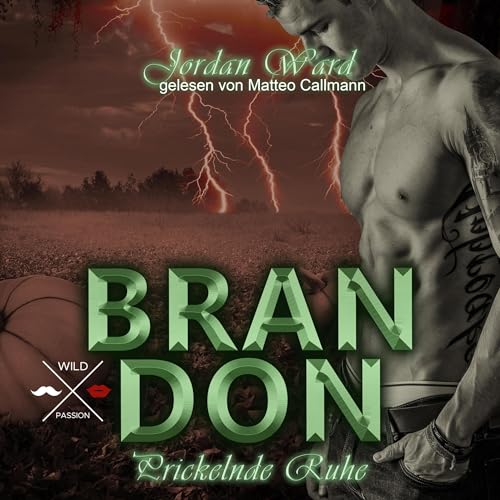 Brandon - Prickelnde Ruhe: Secret Desire 3