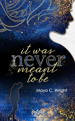 It was never meant to be: Reece & Jess 1 (Lost hearts of Coos Bay)