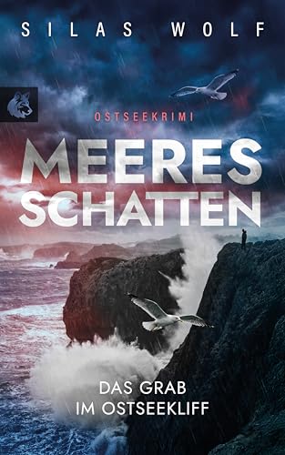 Meeresschatten - Das Grab im Ostseekliff: Küstenkrimi - Ostseekrimi (Sönke Petersen ermittelt 5)
