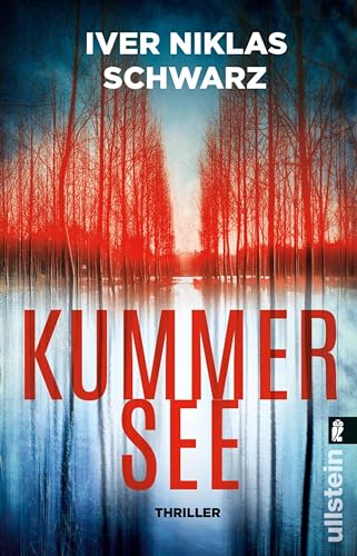 Kummersee: Thriller | Thriller x Mystery x History - ein hochreaktives Spannungsdebüt