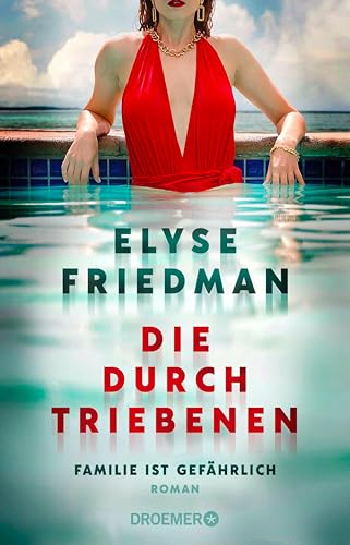 Die Durchtriebenen: Familie ist gefährlich. Roman | Bitter-böser Familien-Thriller aus Kanada