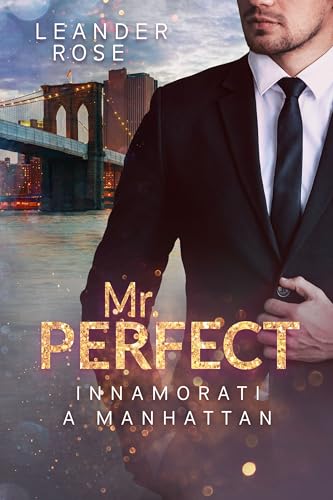Mr. Perfect: Innamorati a Manhattan (Gentiluomini americani)