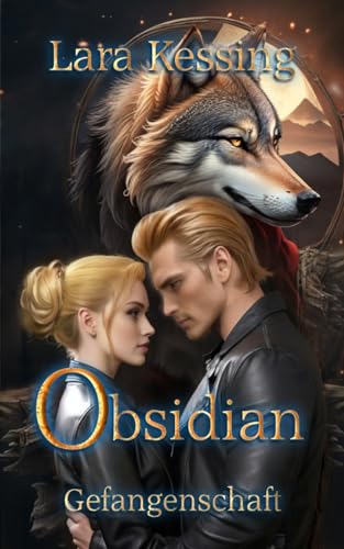 Obsidian - Gefangenschaft: Einzelband (Stein-Rudel 3)
