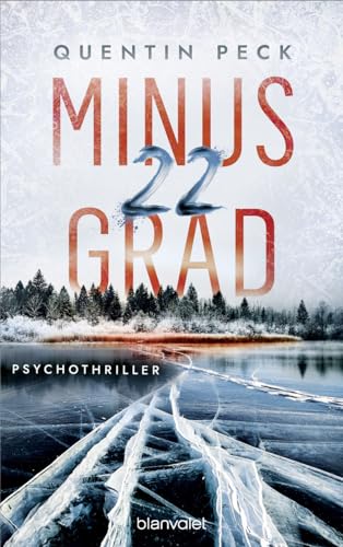 Minus 22 Grad: Psychothriller (Die Johannsen-Reihe 1)