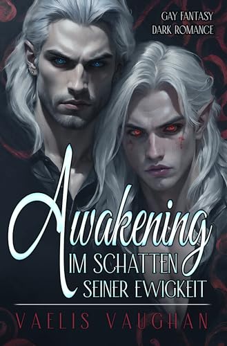 Awakening - Im Schatten seiner Ewigkeit : Gay Fantasy / Dark Romance
