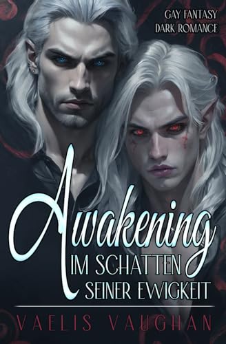 Awakening - Im Schatten seiner Ewigkeit: Gay Fantasy / Dark Romance