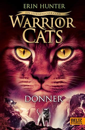 Warrior Cats - Ein sternenloser Clan. Donner: Staffel VIII, Band 4 (Warrior Cats, Staffel 8: Ein sternenloser Clan)