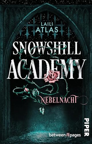 Snowshill Academy – Nebelnacht: Roman