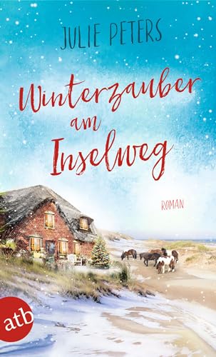 Winterzauber am Inselweg: Roman (Friekes Buchladen 5)