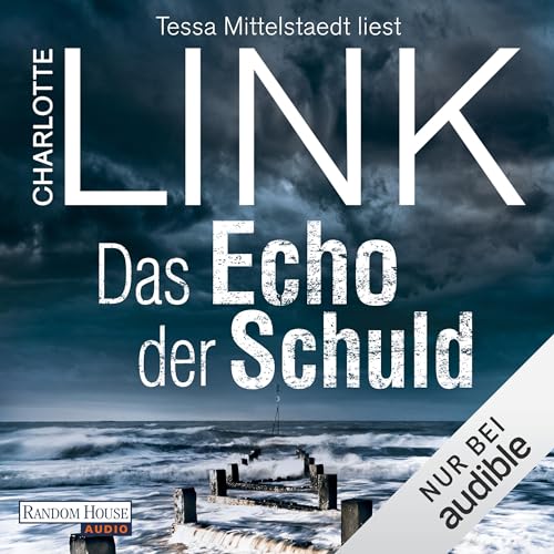 Das Echo der Schuld